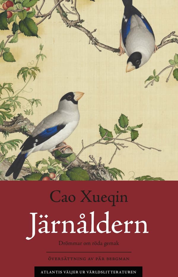 Drömmar Om Röda Gemak 4. Järnåldern (Bok / Häftad)