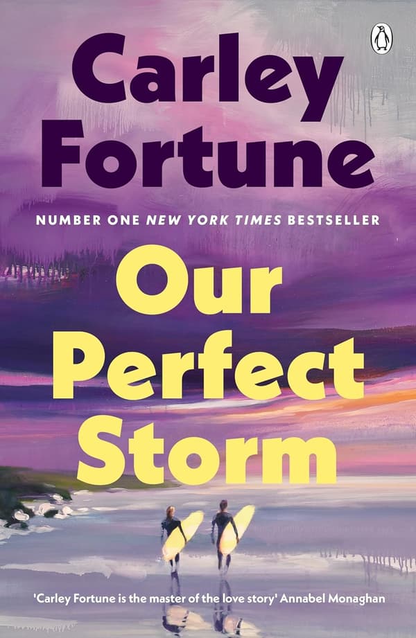 Our Perfect Storm (Bok / Häftad)