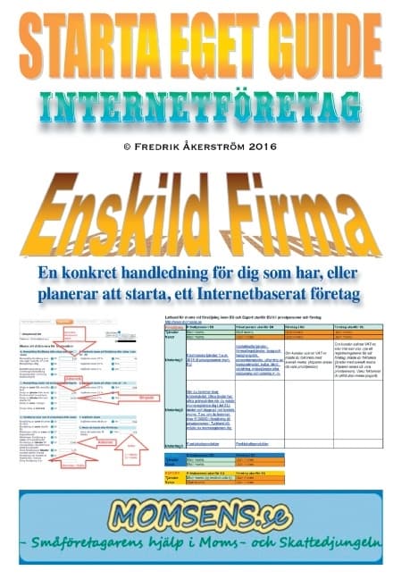Perusta oma yritys -opas - Internet-yritys (kirja / sidottu)