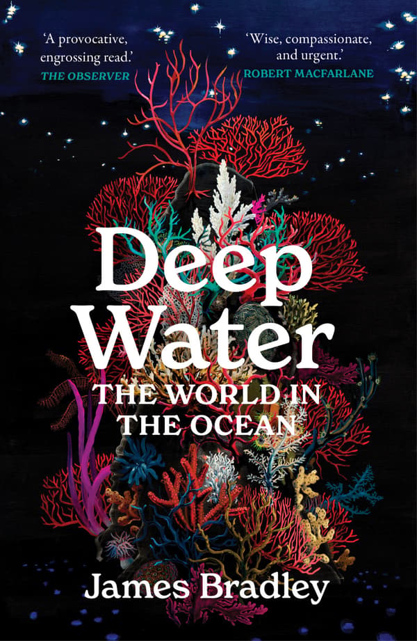 Deep Water (Bok / Pocket)