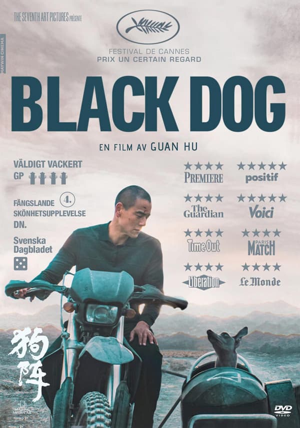 Black Dog (DVD)