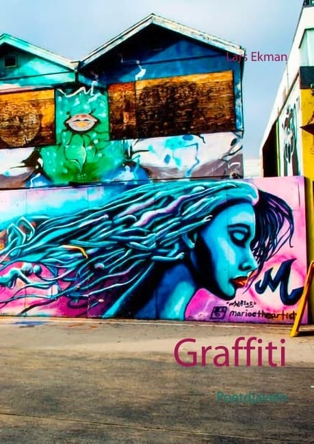 Graffiti - Runoilijapiru (Kirja / Sidottu)