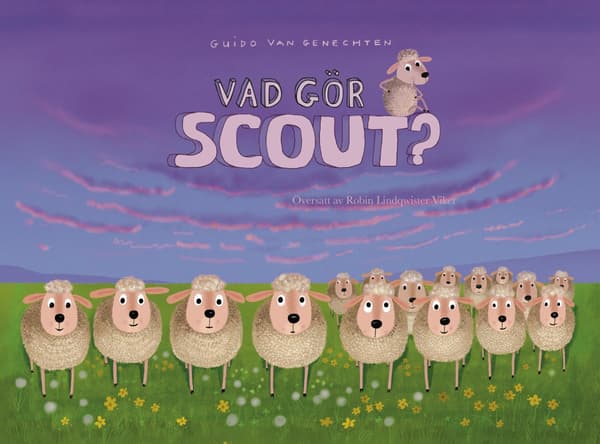 Mitä Scout tekee? (Kirja / Kovakantinen)