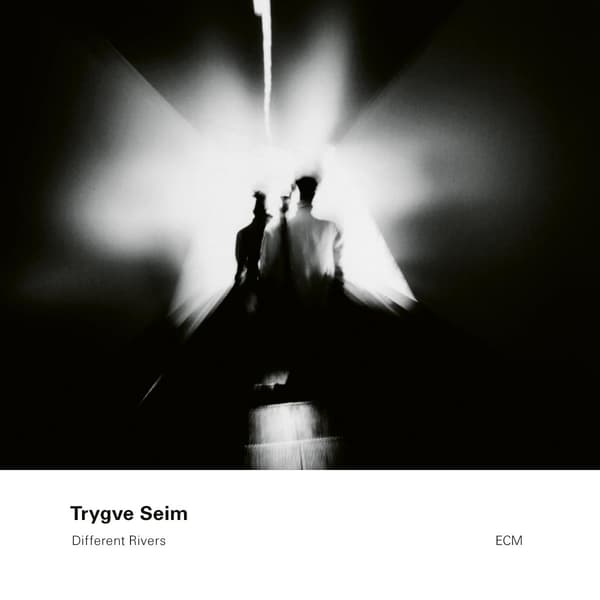 Seim Trygve: Different rivers 2000 (CD)