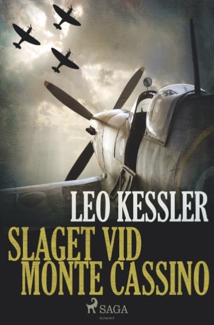 Slaget Vid Monte Cassino (Bok / Häftad)