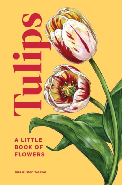Tulips (Bok / Inbunden)