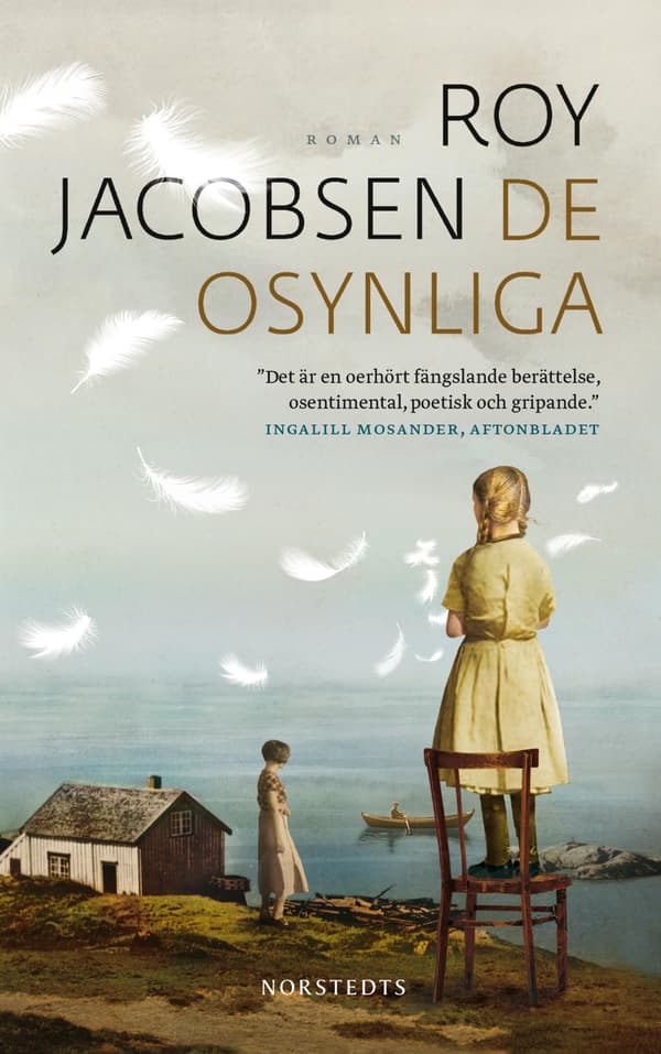 De Osynliga (Bok / Pocket)