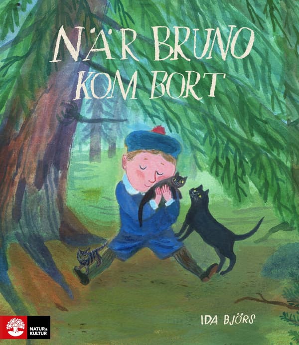 Kun Bruno katosi (Kirja / Sidottu)