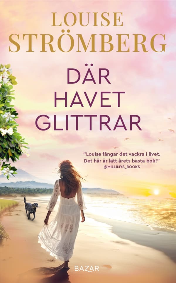 Där Havet Glittrar (Bok / Pocket)