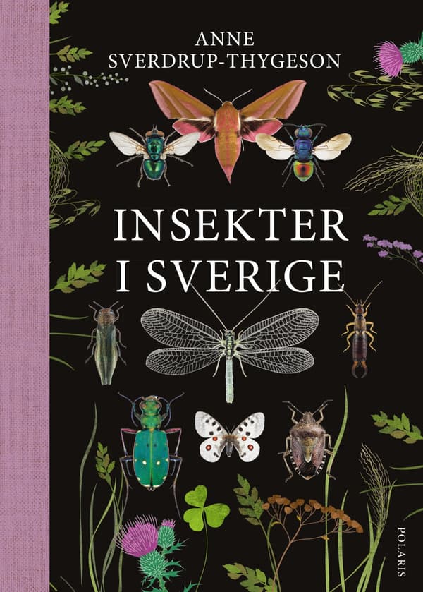 Hyönteiset Ruotsissa (Kirja / Flexband)