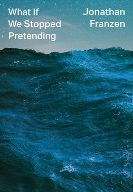 What If We Stopped Pretending (Bok / Inbunden)