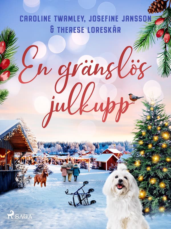En Gränslös Julkupp (Bok / Storpocket)