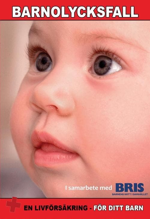 Barneulykker: Barneulykker i samarbeid med Bris (DVD)