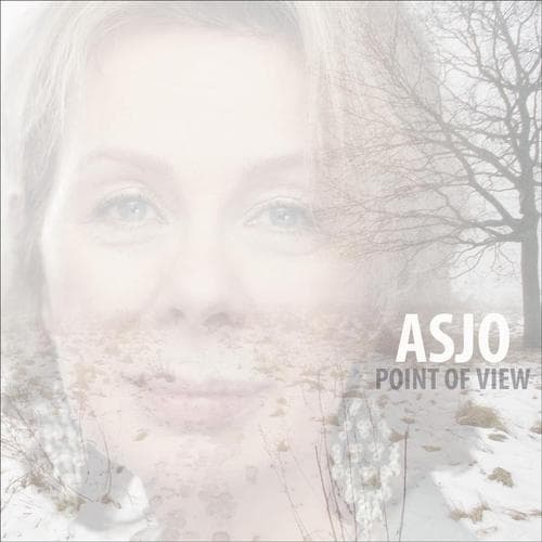 Asjo (Ann-Sofi Söderqvist Jazz Orcherstra): Point Of View (CD)