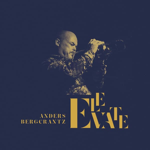 Anders Bergcrantz: Elevate (2LP, Vinyyli)