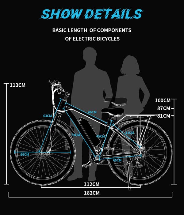 Elcykel DUOTTS C29 29'' med Bluetooth-app