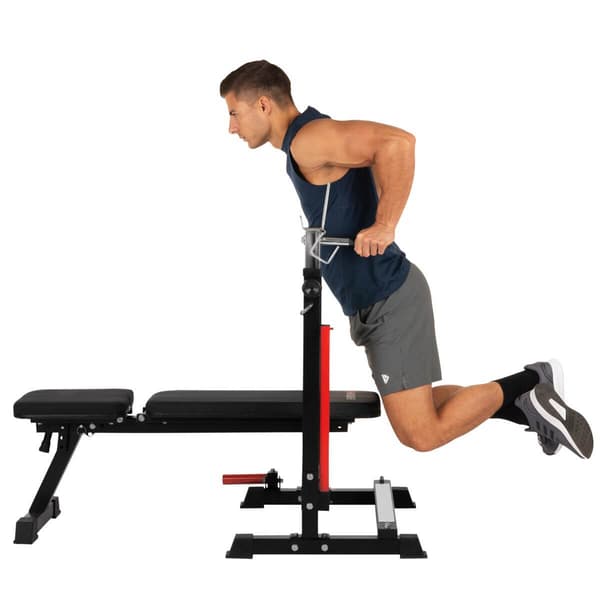 Treningsbenk Folding Bench & Barbell Rack Force 4.0
