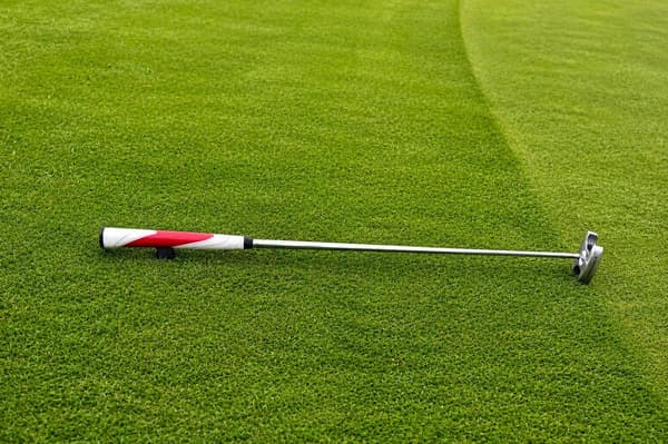 Klubbvagga för golf