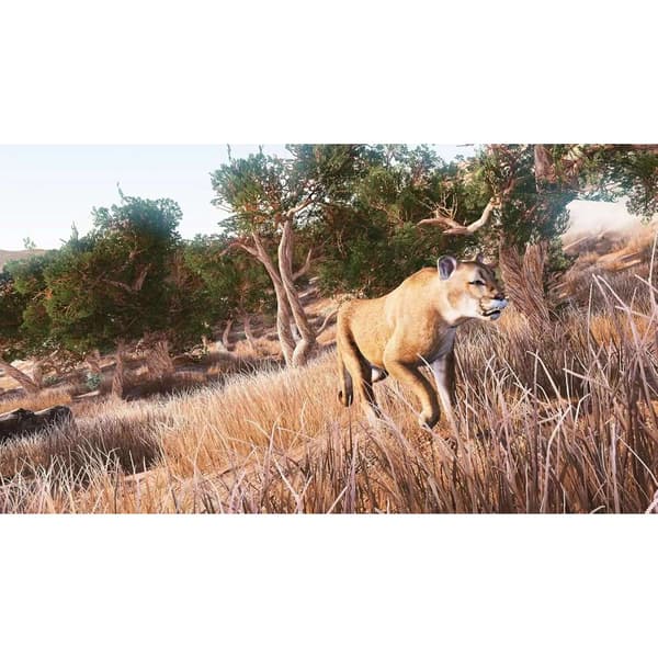 Hunting Simulator Nintendo Switch (Code in a box)