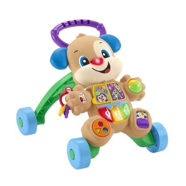 Baby Doggy First Steps Walker