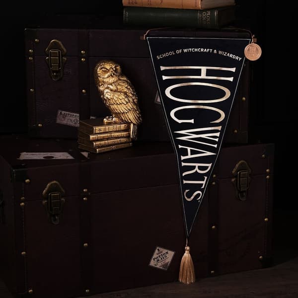 Harry Potter Hogwarts hanging banner