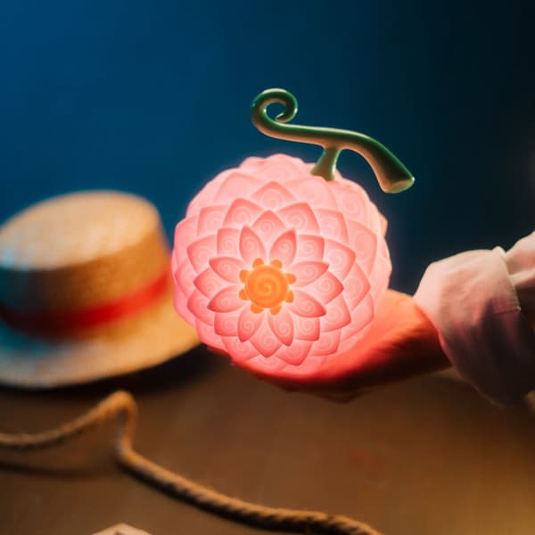 One Piece Flower-Flower Fruit lamp