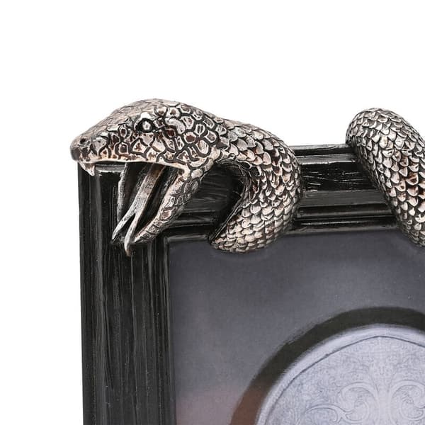 Harry Potter Nagini photo frame
