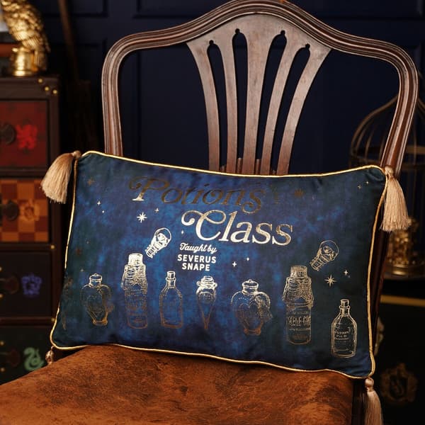 Harry Potter Potions Class velvet cushion