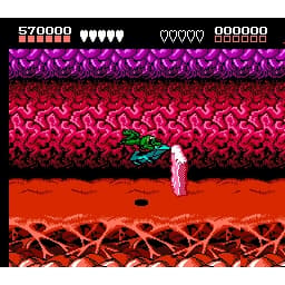 Battletoads Nintendo NES SCN (Begagnad)
