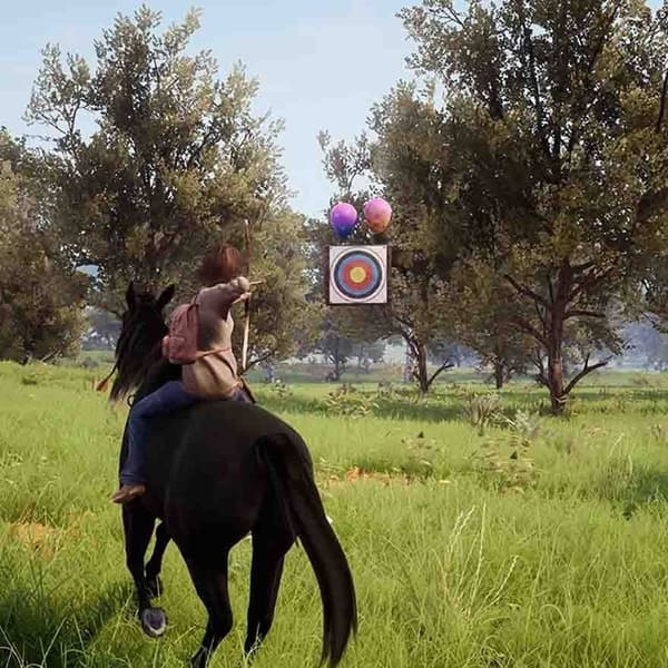 Windstorm An Unexpected Arrival Playstation 4 PS4