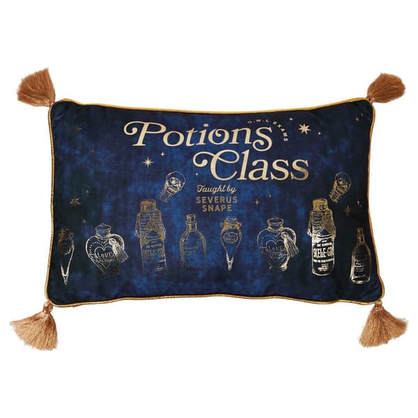 Harry Potter Potions Class velvet cushion