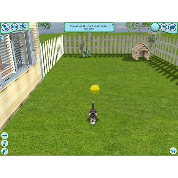 Catz Nintendo Wii (Brukt)