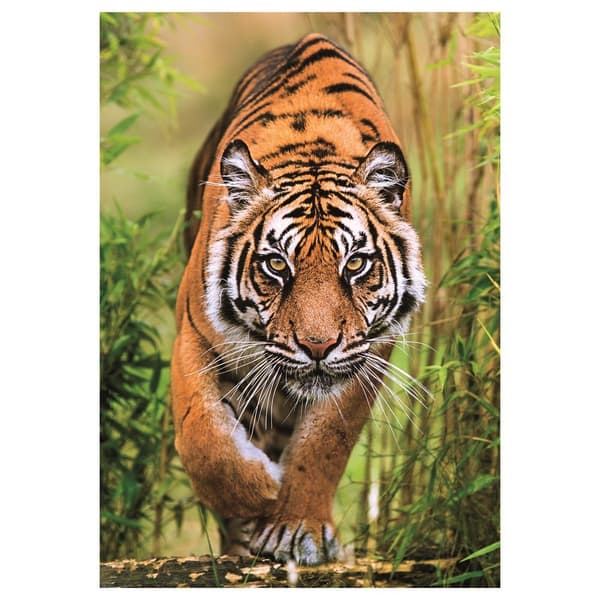 The Hunter'S Path puzzle 1000pcs