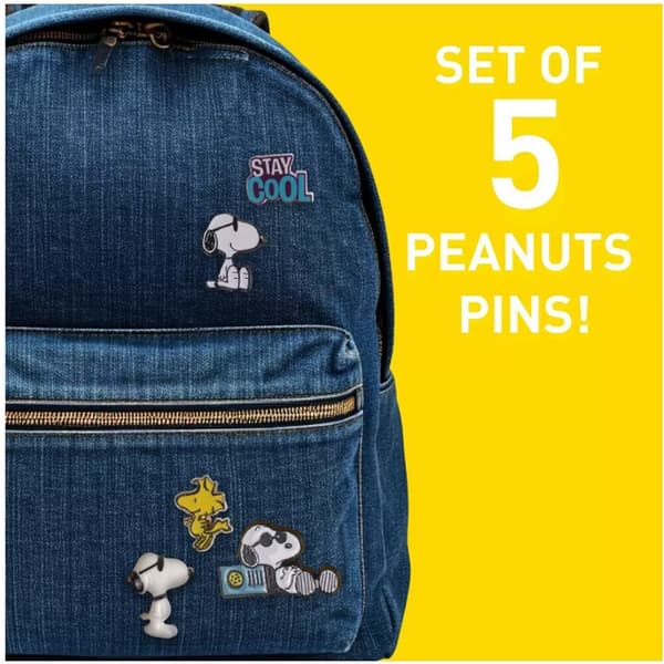 Peanuts Snoopy 5 pin set