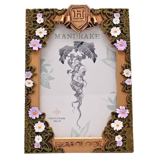 Harry Potter Herbology photo frame