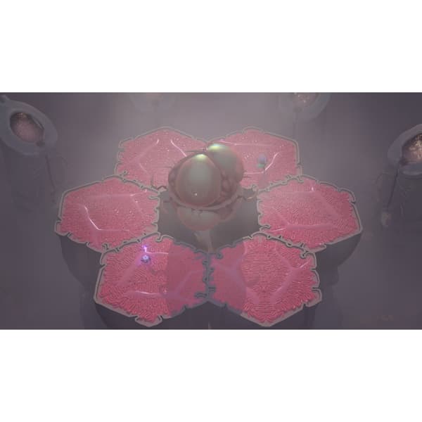 Cocoon Nintendo Switch IMPORT