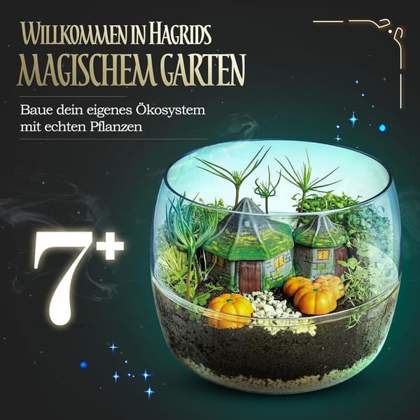 Harry Potter Terrarium
