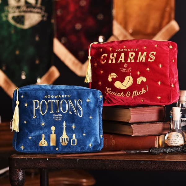 Harry Potter Potions wash bag