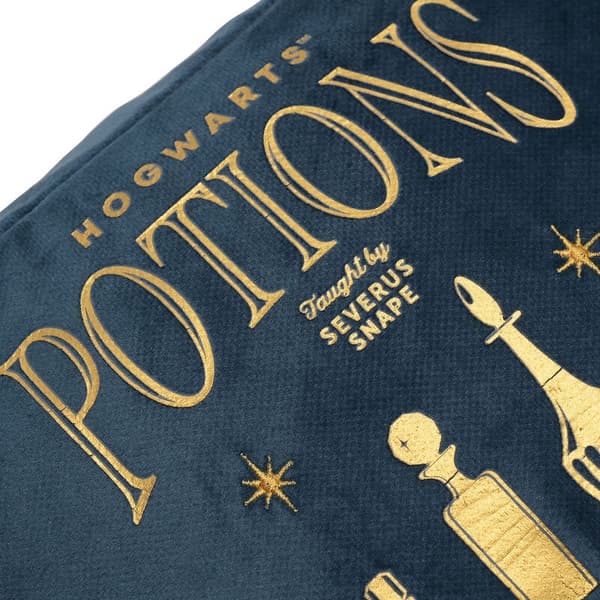 Harry Potter Potions wash bag