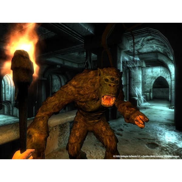 The Elder Scrolls IV Oblivion Xbox 360 (Brukt)