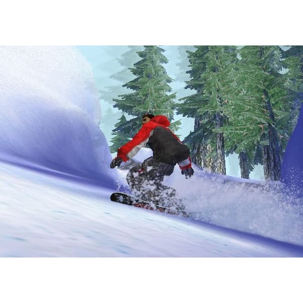 1080 Avalanche Nintendo Gamecube (Brugt)