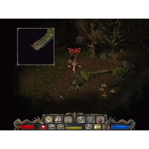 Divine Divinity PC CD Best Buy Nordic (Brugt)