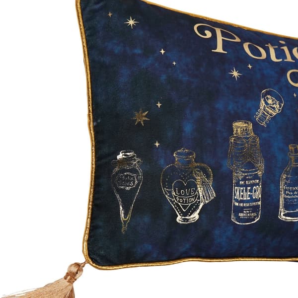 Harry Potter Potions Class velvet cushion