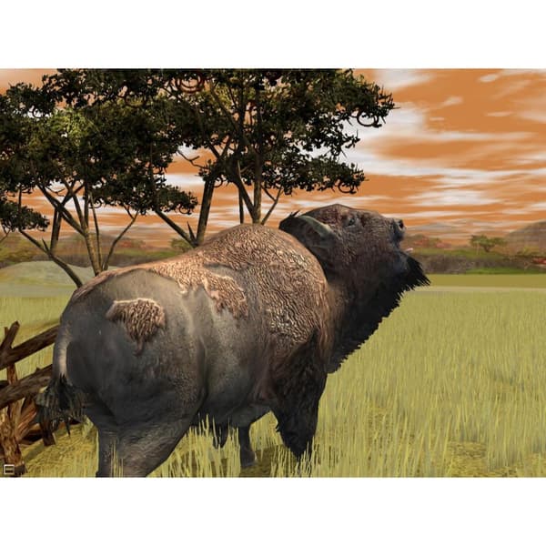 Wildlife Park 2 PC DVD Gold Edition (Brukt)