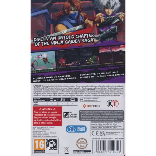 Ninja Gaiden Ragebound Nintendo Switch