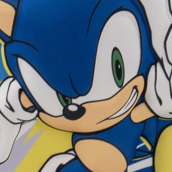 Sonic the Hedgehog 3D lunch bag