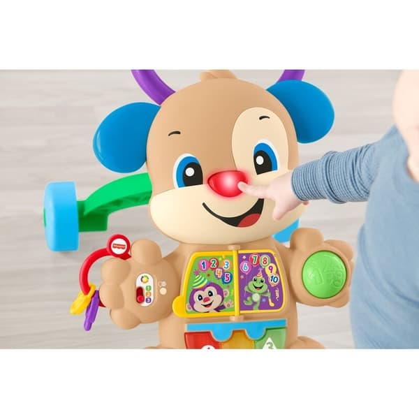 Baby Doggy First Steps Walker