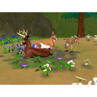 SimAnimals Nintendo Wii (Käytetty)