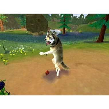 SimAnimals Nintendo Wii (Käytetty)