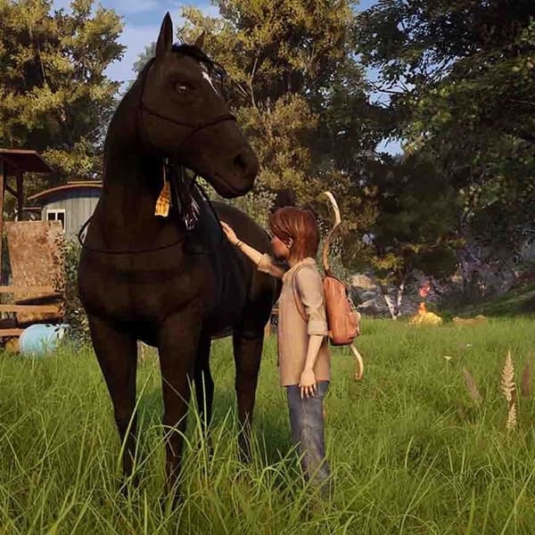Windstorm An Unexpected Arrival Playstation 4 PS4